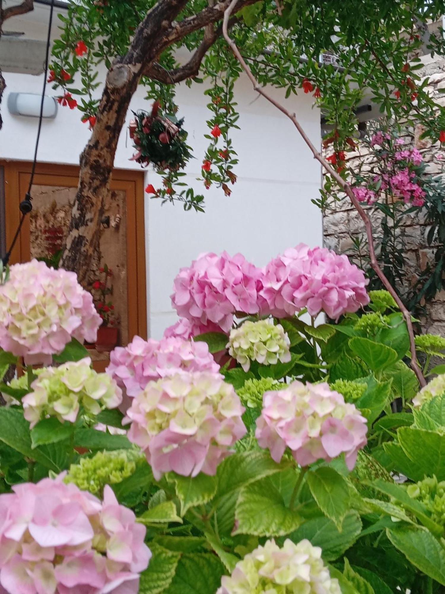 Сasa de vacaciones Vjollca's Sarandë